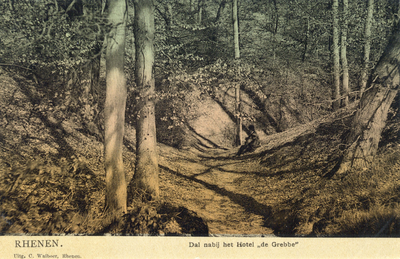 13350 Gezicht in de Zwitserse Vallei in het bos op de Grebbeberg te Grebbe (gemeente Rhenen).